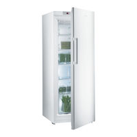 Gorenje FN6161IW Instruction Booklet
