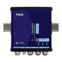 Puls Fiepos FPS300.245-047-103 Manual