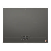 DeDietrich DPI7698DG User Manual