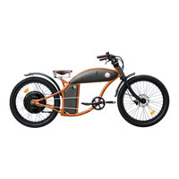 RAYVOLT CRUISER User Manual