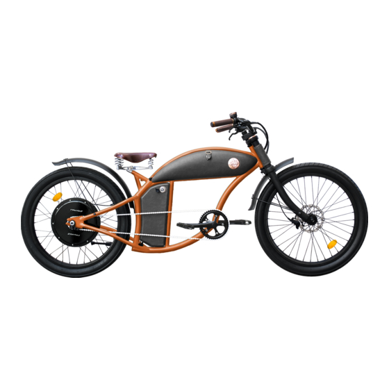 RAYVOLT CRUISER User Manual