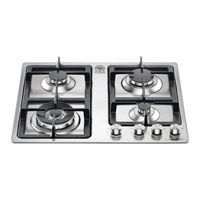 Bertazzoni P61V Instructions For The Installation, Maintenance And Use