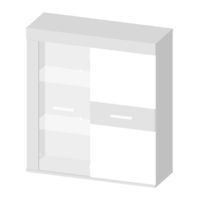 Forte ZMBM01L-0003 Assembly