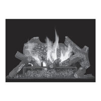 Town & Country Fireplaces TC30.NG05D Installation Instructions Manual