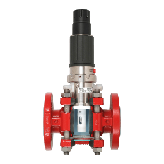 Knick SensoGate WA 132 Series User Manual