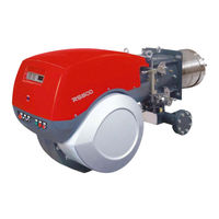 Riello 3899510 Installation, Use And Maintenance Instructions