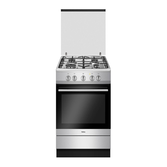 Amica SHGG 11568 E Instruction Manual