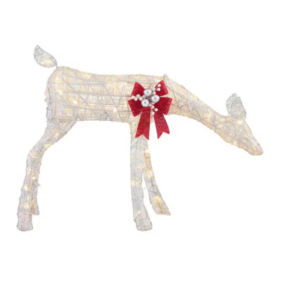 Home Accents Holiday TY068-1213 Use And Care Manual