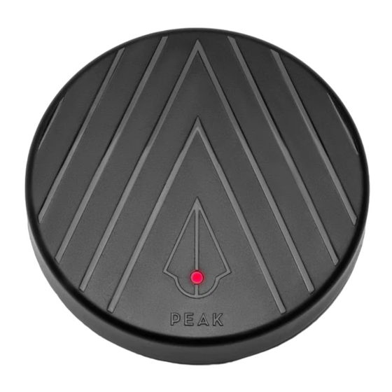 Peak RADIX Manual