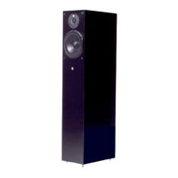 audio pro Black Diamond v.2 スピーカーセット H Audio Pro Black Diamond v.2 Floor standing speakers review