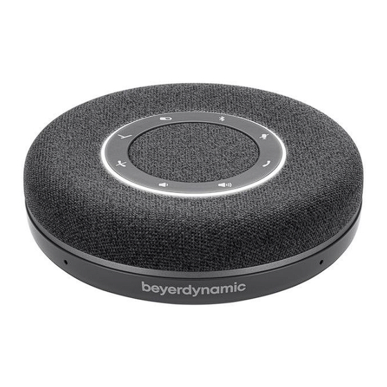 Beyerdynamic SPACE MAX Operating Instructions Manual