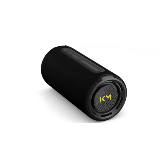 Loewe We. HEAR pro Quick Start Manual