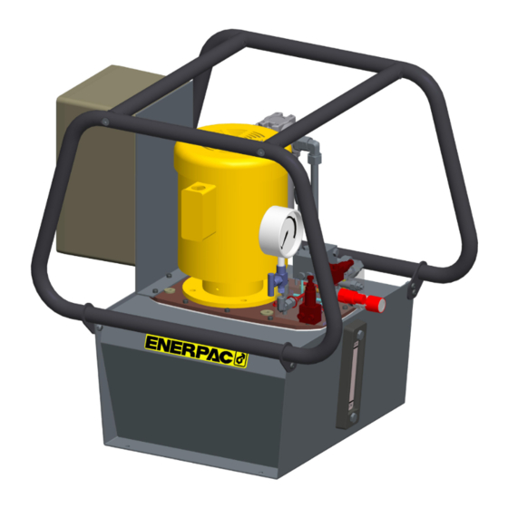 Enerpac B13211710 Operation And Maintenance Manua