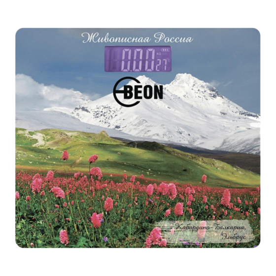 BeON BN-1106 Instruction Manual