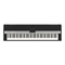 Musical Instrument Yamaha CP5 Data List