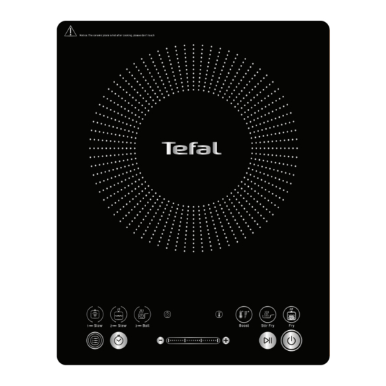 TEFAL Everyday Slim IH210840 Manuals