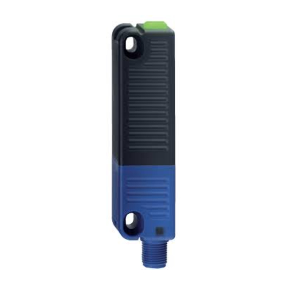 schmersal RSS 36-I2-SD-ST Manual