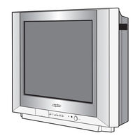 Sanyo CP21EF1 Service Manual