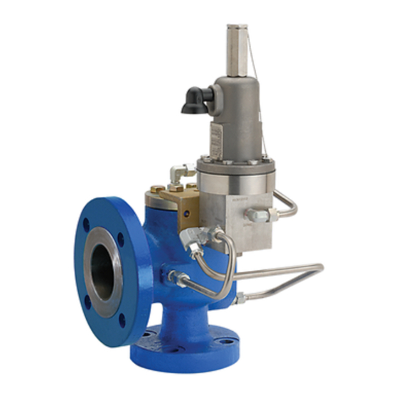 Emerson ANDERSON GREENWOOD Series Installation And Maintenance Instructions