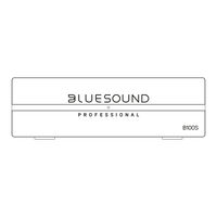 Bluesound B100S Owner's Manual