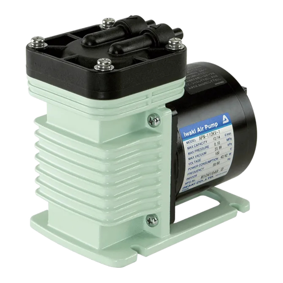 IWAKI PUMPS APN-110-D4 Instruction Manual