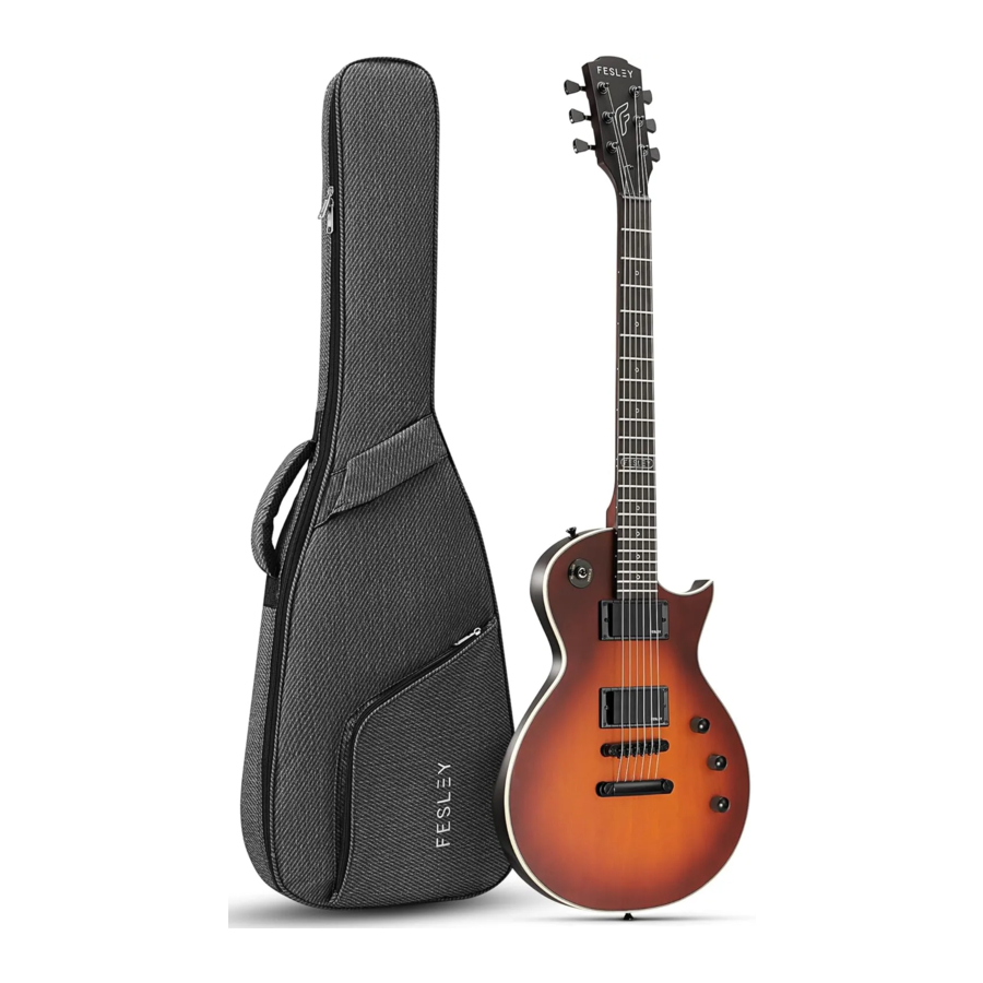 Fesley FLP350 - Electric Guitar Manual