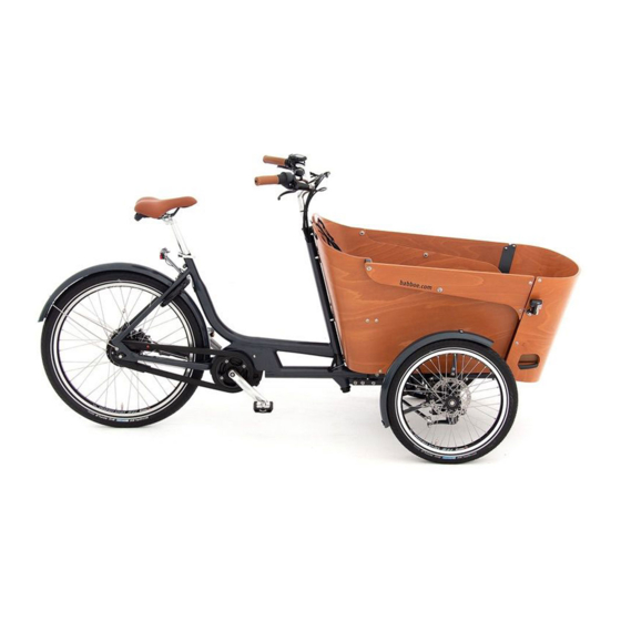 Babboe Carve Mountain User Manual
