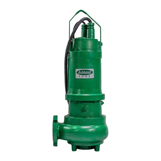 Ashland Pump 3ANC300 Operation, Performance, Specifications And Parts Manual