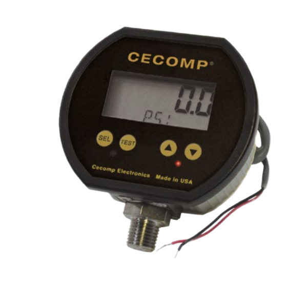 Absolute Process Instruments Cecomp F16LSC Instructions
