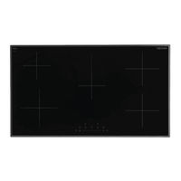 Technika 95HTSS-5 Instructions For Use And Installation