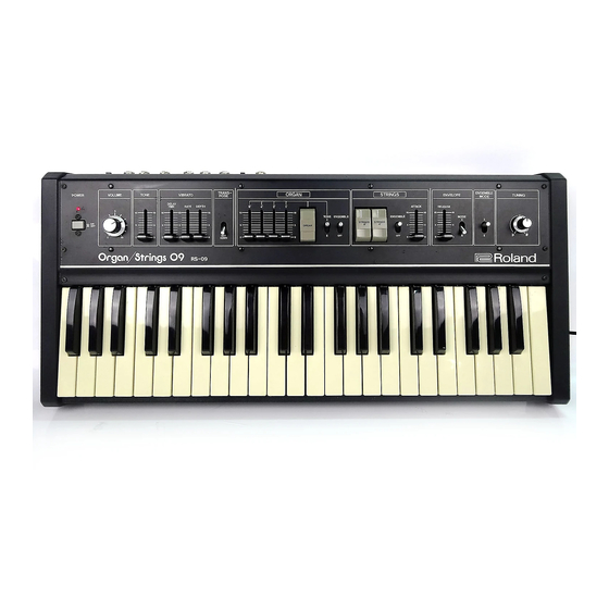 Roland RS-09 Installation Manual