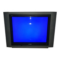 Magnavox 27MS5402 - 27v 100hz Tv User Manual