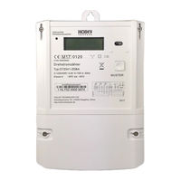 Holley mME DTZ541 User Manual