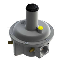 Watts FG1B50/40 Installation Manual