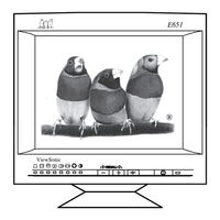 Viewsonic E651 User Manual