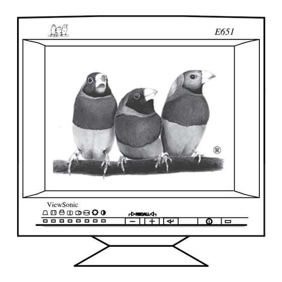 ViewSonic E651 User Manual