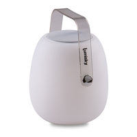 Lumisky Mini So Play User Manual