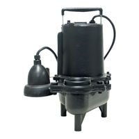 Ion Technologies SE60M-01 Operation Manual