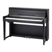 FAME DP-6500 Owner's Manual