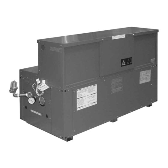 Raypak 399 Illustrated Parts List