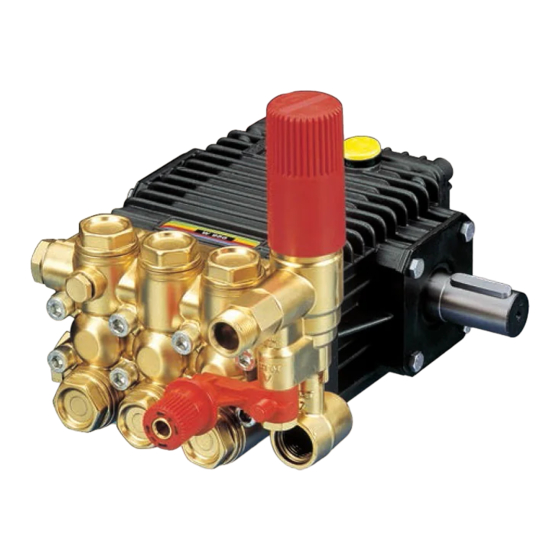 Interpump Group W3.0 Manuals