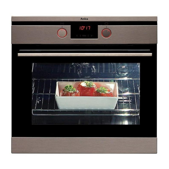 Amica 10143.3TsPrDbHaJXSp Instruction Manual