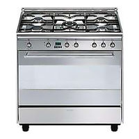 Smeg SNZ91MFX User Manual