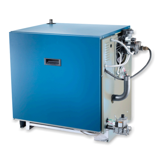 ECR International Olsen OSVB II Series Installation, Operation & Maintenance Manual