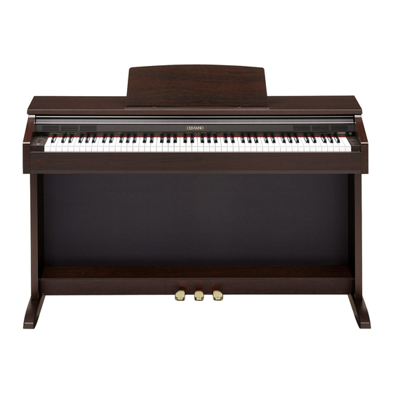 Casio AP-200 Manual