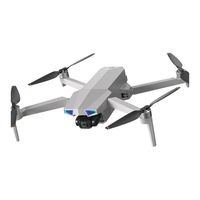 Holy Stone HS790 Instructions For Use Manual