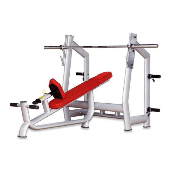 BRONZE GYM H-025 User Manual