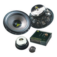Radical Audio RA20.2T Owner's Manual