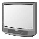 Sanyo DS24205 Owner