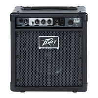 Peavey Audition 110 Owner's Manual